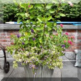L16. Plant and planter. 